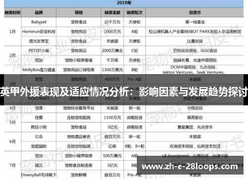 英甲外援表现及适应情况分析：影响因素与发展趋势探讨
