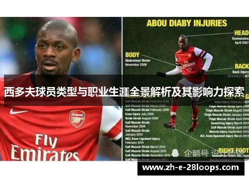 西多夫球员类型与职业生涯全景解析及其影响力探索