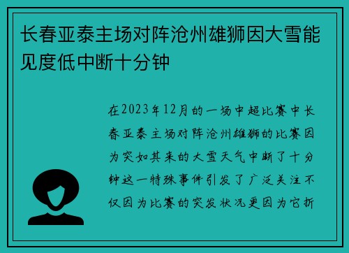 长春亚泰主场对阵沧州雄狮因大雪能见度低中断十分钟